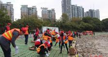闽江公园举办植树节活动 200多人“插秧”打造绿色生态江岸