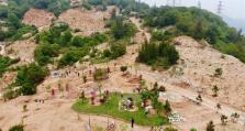 拆除、复绿：福州市持续开展违建坟墓专项整治行动