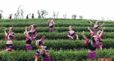 第二届长龙茶山文化节在连江举办