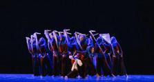 第五届福建舞蹈“百合花奖”专业舞蹈大赛举办