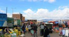 玻利维亚新冠肺炎确诊病例累计达143473例 排查小商贩集市潜在传播隐患 