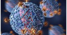 美国开发出新型艾滋病疫苗 猴子实验证实有效